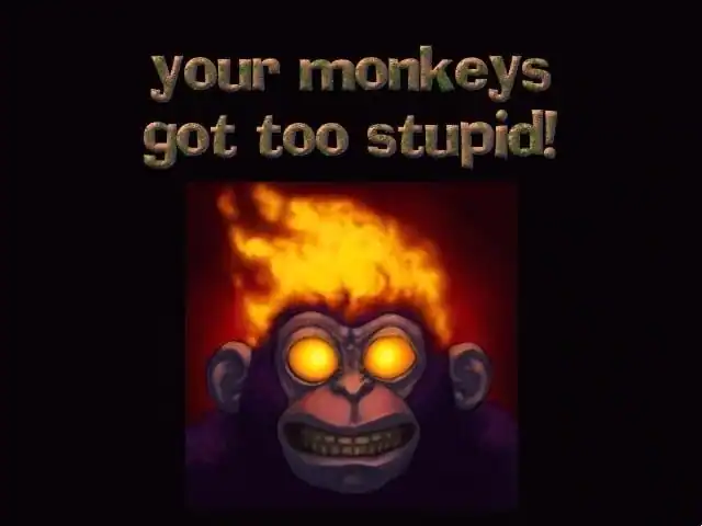 Monkey Brains — изображение 3