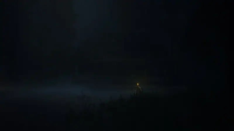 Nerved — изображение 3