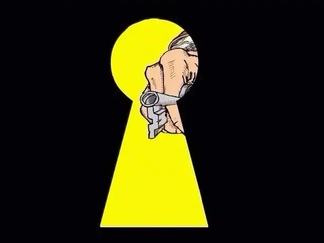 Чико из Пуэрто-Рико или Новые приключения Зорро — изображение 3