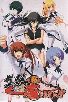 Maji de Watashi ni Koi Shinasai! (visual novel)