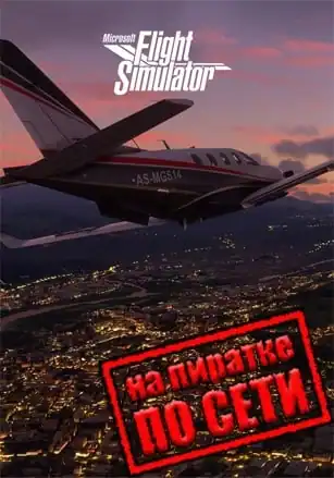 Microsoft Flight Simulator по сети