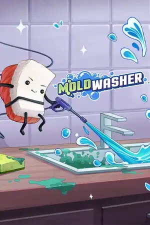 Moldwasher