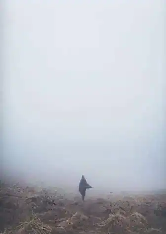Not in Heaven