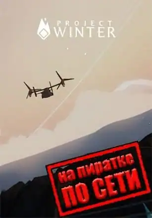 Project Winter по сети