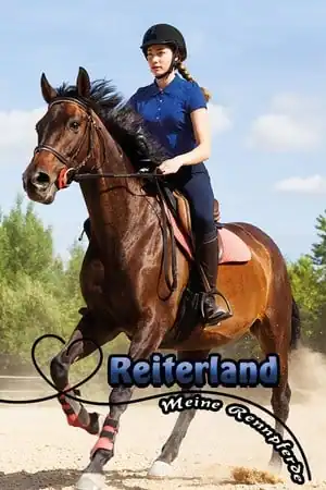 Reiterland — Meine Rennpferde