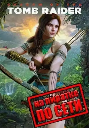 Shadow of the Tomb Raider по сети