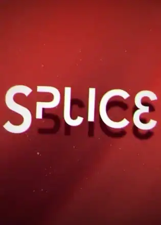 Splice