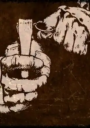 Сталкер: Call of Pripyat — The Hand/Arms Project