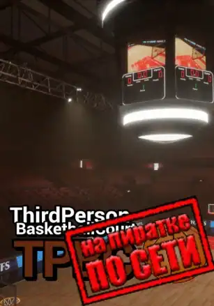 Third Person Basketball Court по сети